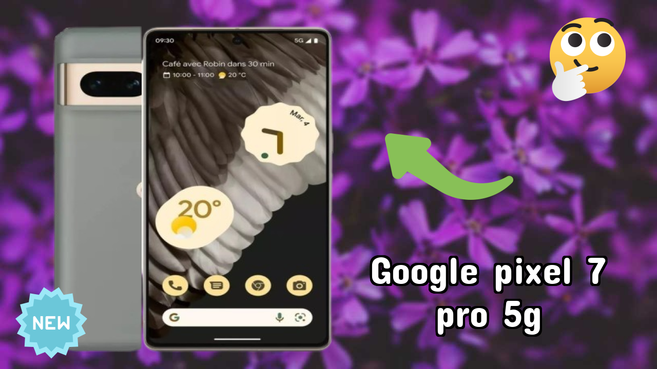 Google Pixel 7 Pro 5G कैमरा सैंपल: 50 MP + 12 MP + 48 MP Rear Camera रियल फोटो